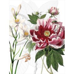 NAPKING Geschirrtuch „Dafne 2“ 55 × 75 cm, 100 % Leinen