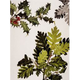NAPKING Geschirrtuch „Ilex Nr. 2“ 55 × 75 cm, 100 % Leinen