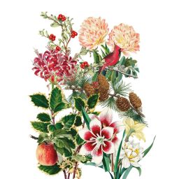 NAPKING Geschirrtuch „Natalia 2“ 55 × 75 cm, 100 % Leinen