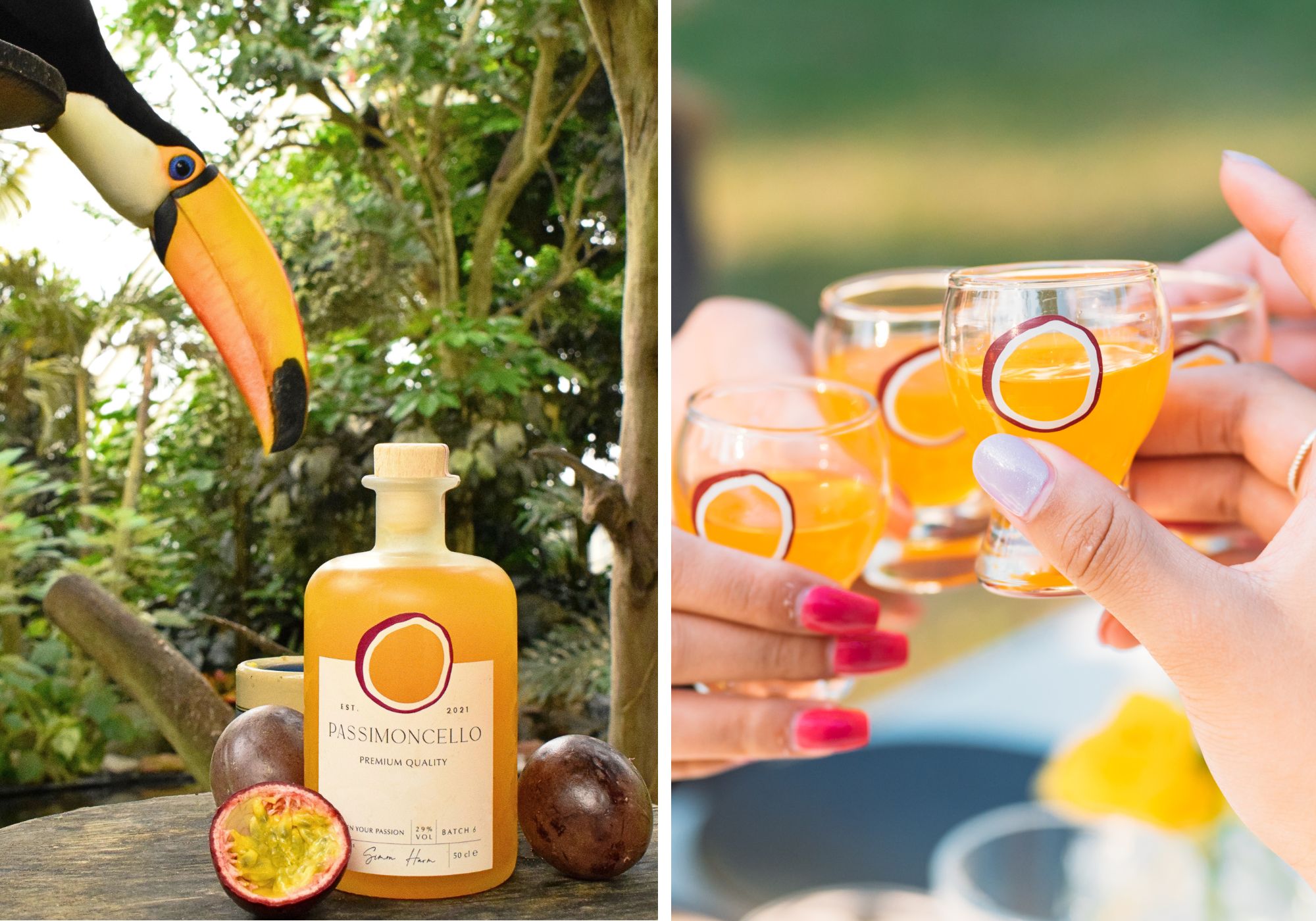 Passimoncello Passionsfruchtlikör mit Riesen-Tukan und gefüllten Gläsern