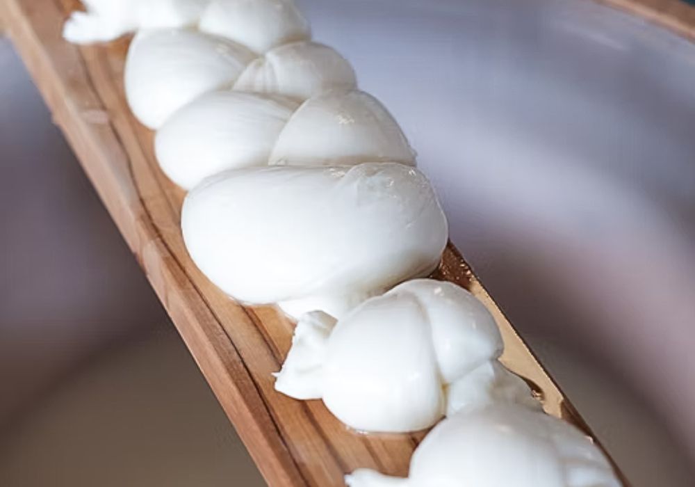 Frischer Mozzarella