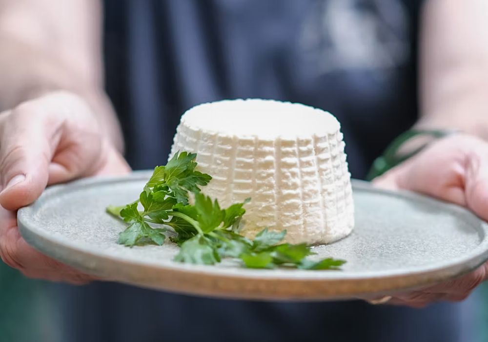 Frischer Ricotta hübsch in Form gebracht