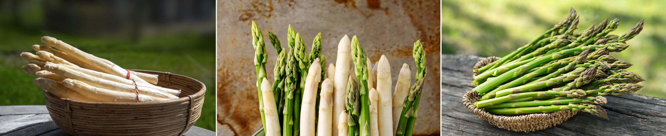 Frischer gr&uuml;ner und wei&szlig;er Spargel