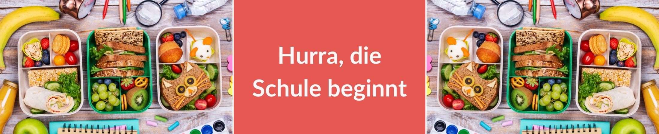 Hurra, die Schule beginnt. Zu sehen sind verschiedene gefüllte Brotdosen.