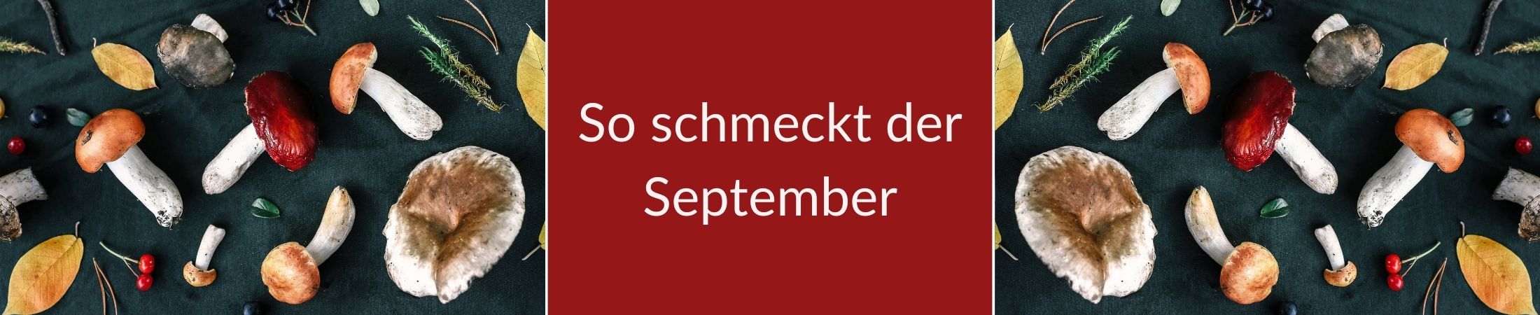 Verschiedene Pilze. So schmeckt der September