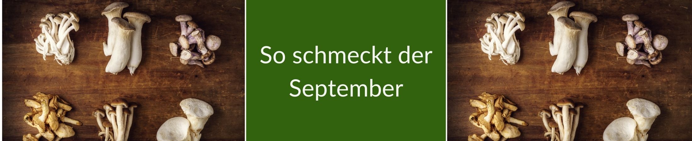 Verschiedene Pilze. So schmeckt der September