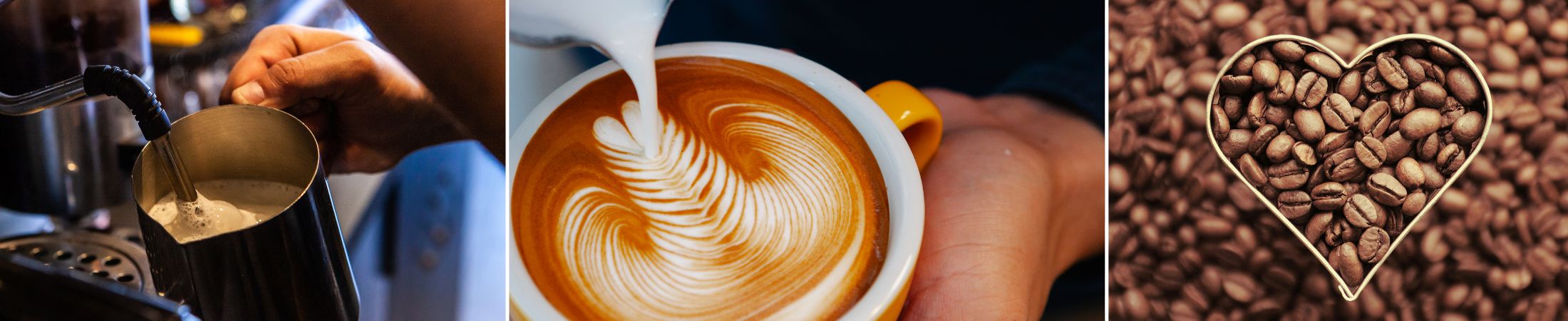 Muster einer Blume im Kaffee aus Milch. Passend zum Barista Seminar bei Cucinaria