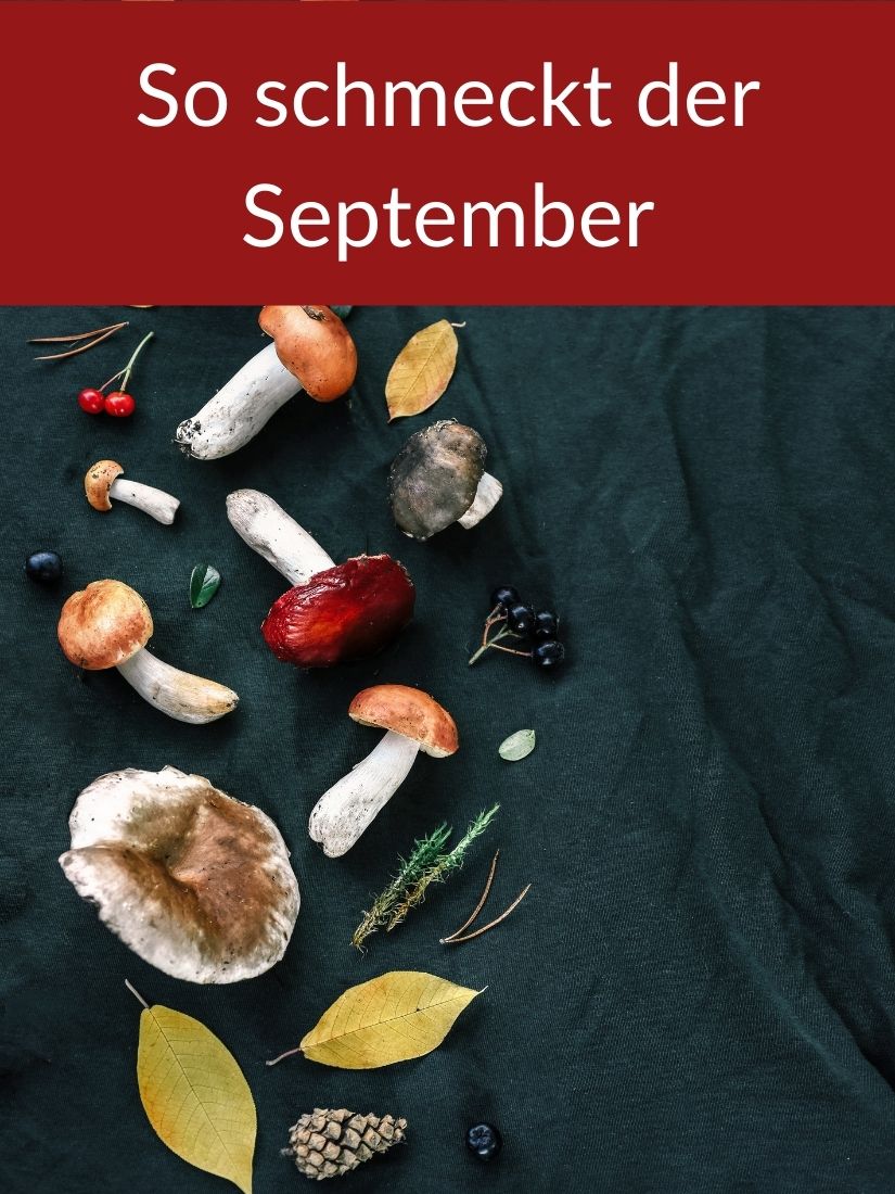 Verschiedene Pilze. So schmeckt der September