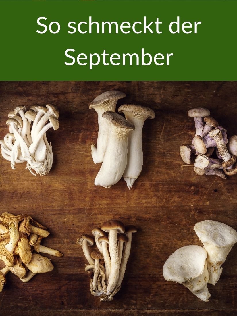 Verschiedene Pilze. So schmeckt der September