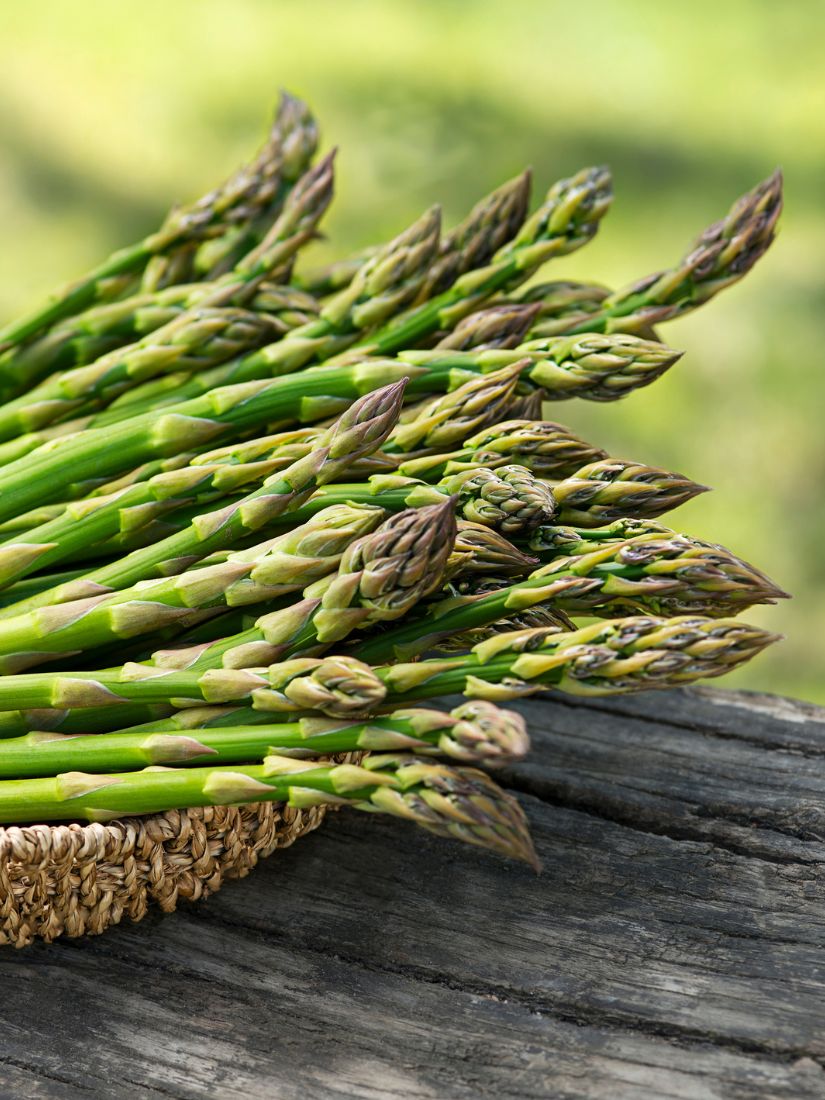 Frischer gr&uuml;ner und wei&szlig;er Spargel