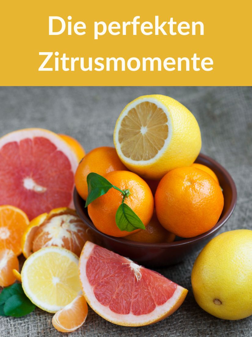 Überschrift Die perfekten Zitrusmomente und daneben Bilder mit verschiedenen Zitrusfrüchten