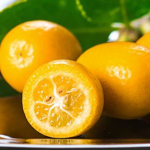 Bild mit Kumquats auf einem schwarzen Teller serviert